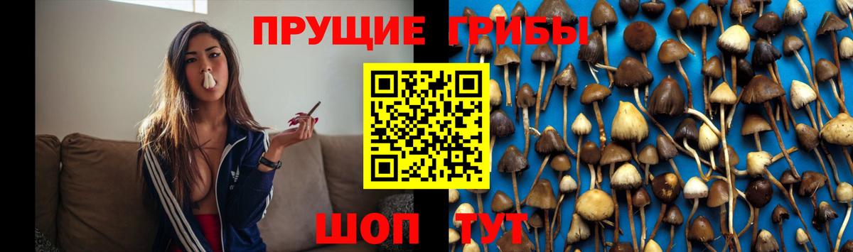 Лысьва  Псилоцибиновые грибы Cubensis  Галлюциногенные грибы Psilocybine cubensis  Вход с VPN 